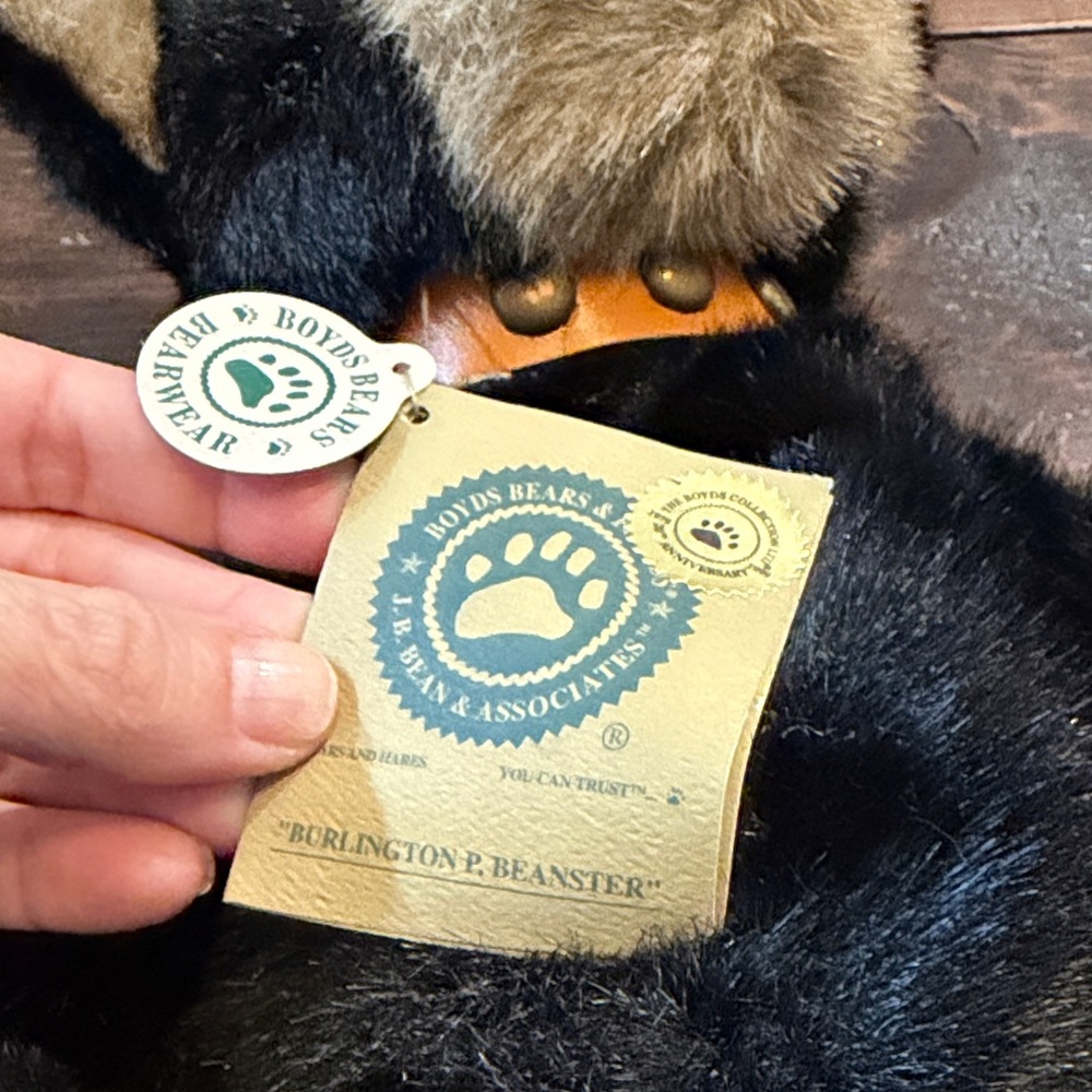 Boyds Bears Black and Tan Plush Bear 20th anniversary Burlington P. Beanster - Picture 2 of 6
